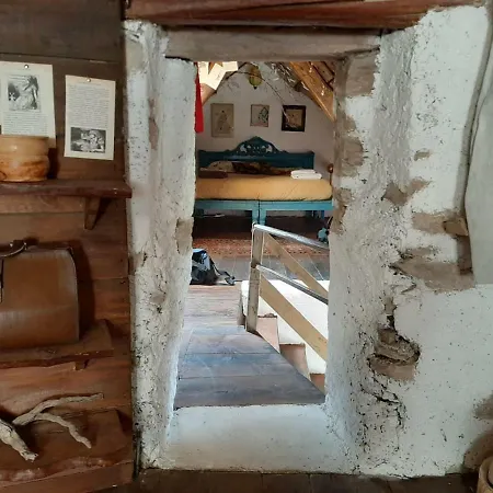 民宿 Alice Vintage House 庞特内阿尔比