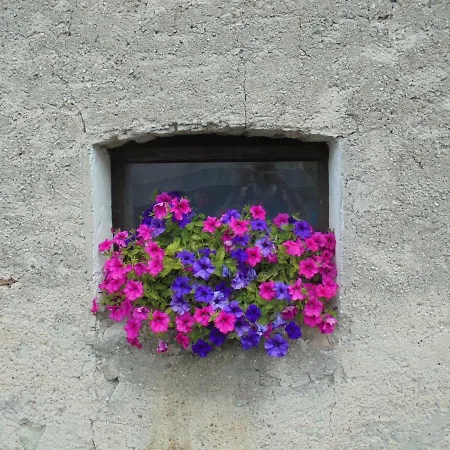 Alloggio in famiglia Alice Vintage House Ponte nellʼAlpi